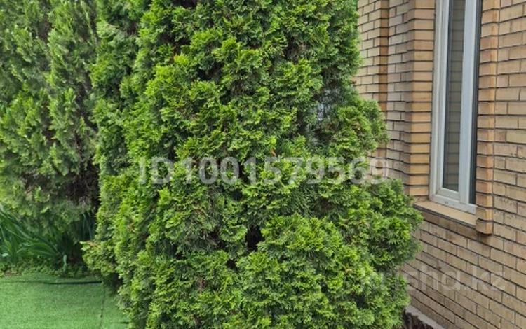 Жеке үй · 7 бөлме · 200 м² · 5.2 жүзд., Омская — Станиславского, бағасы: 80 млн ₸ в Алматы, Жетысуский р-н — фото 3