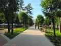 3-комнатная квартира · 67.1 м² · 8/9 этаж, Мухамеджанова 9 — Центральная мечеть за 55 млн ₸ в Алматы, Медеуский р-н — фото 13