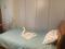 1 бөлме · 30 м² · 3/5 қабат, Жибек Жолы — Сейфуллина, бағасы: 150 000 ₸ в Алматы, Алмалинский р-н