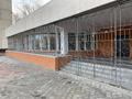 Свободное назначение · 270.4 м² за 1 млн ₸ в Аксу — фото 13