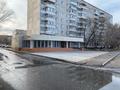 Свободное назначение · 270.4 м² за 1 млн ₸ в Аксу — фото 5