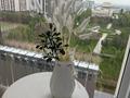 2-комнатная квартира · 75 м² · 8/12 этаж, мкр Нурсат 29/4 за 400 000 ₸ в Шымкенте, Каратауский р-н — фото 34