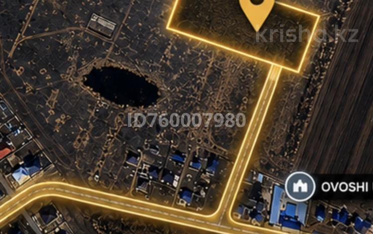 Участок · 95 соток, Мичуринский 36 за 29 млн ₸ в Мичуринское — фото 12