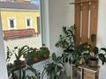Жеке үй · 8 бөлме · 244.5 м² · 15 жүзд., Жаңа орда ш/а. 29 — Кызылжарская 29, бағасы: 110 млн ₸ в Уральске, мкр Жана Орда — фото 5