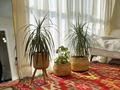 2-бөлмелі пәтер · 50 м² · 6/12 қабат, Майлина 6, бағасы: 26.5 млн ₸ в Астане, Алматы р-н — фото 5
