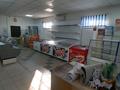 Отдельный дом · 2 комнаты · 61.8 м² · 10 сот., улица Баян Батыра 7/1 за 29.9 млн ₸ в Кенжеколе — фото 15