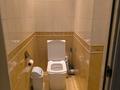 3-комнатная квартира · 74 м² · 4/9 этаж, Райымбека 241 — Райымбека Ауэзова за 350 000 ₸ в Алматы — фото 10