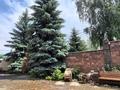 Жеке үй · 8 бөлме · 700 м² · 15 жүзд., Кербулакская 1/9, бағасы: 600 млн ₸ в Алматы, Медеуский р-н — фото 39