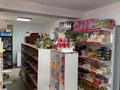 Магазины и бутики · 120 м² за 450 000 ₸ в Алматы, Алатауский р-н — фото 3