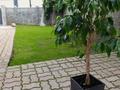 Жеке үй · 9 бөлме · 550 м² · 12.86 жүзд., Хан Тенгри ш/а., бағасы: 3.5 млн ₸ в Алматы, Бостандыкский р-н — фото 11
