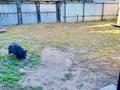 Часть дома · 3 комнаты · 78 м² · 6 сот., Почтовая — Возле магазина Болашак за 18 млн ₸ в Бишкуле (Бесколь) — фото 13