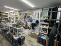 Магазины и бутики · 40 м² за 8 млн ₸ в Алматы, Жетысуский р-н — фото 4