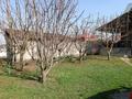 Жеке үй · 5 бөлме · 300.9 м² · 8 жүзд., Жанатурмыс, бағасы: 85 млн ₸ — фото 3