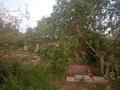 Отдельный дом · 3 комнаты · 20 м² · 6 сот., Природы 87 за 1.5 млн ₸ в Усть-Каменогорске — фото 4