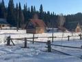 Участок · 20 соток, Лесная 32 за 3.2 млн ₸ в Глубокое