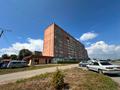 1-комнатная квартира · 38.6 м² · 8/10 этаж, Сатпаева 50/1 за 20.9 млн ₸ в Усть-Каменогорске — фото 37