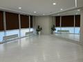 Действующая студия · 103 м² за 5 млн ₸ в Алматы, Бостандыкский р-н — фото 4