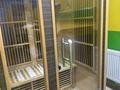 Детский специализированный бассейн · 80.6 м², бағасы: 74 млн ₸ в Алматы, Бостандыкский р-н — фото 11