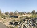 Участок · 8 соток, Массив Кайнар, ул Шынар 32 за 7.5 млн ₸ в Таразе — фото 17