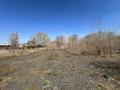 Промбаза · 1 га, Дружбы Народов 30 за ~ 300 млн ₸ в Усть-Каменогорске — фото 20