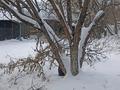 Жеке үй · 2 бөлме · 37 м² · 45 сот., Копай, бағасы: 7.5 млн ₸ в Петропавловске — фото 17