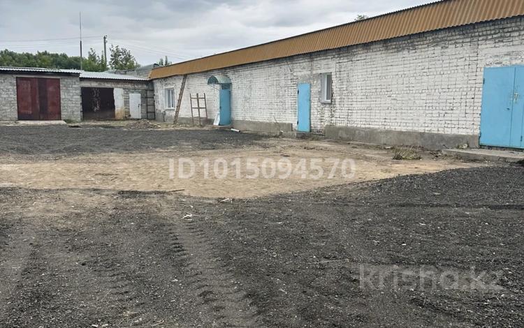 Склады, общепит · 800 м² за 2 млн ₸ в Павлодаре — фото 2