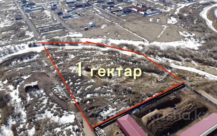 Жер телімі · 1 га, Жибек жолы, бағасы: 150 млн ₸ — фото 2