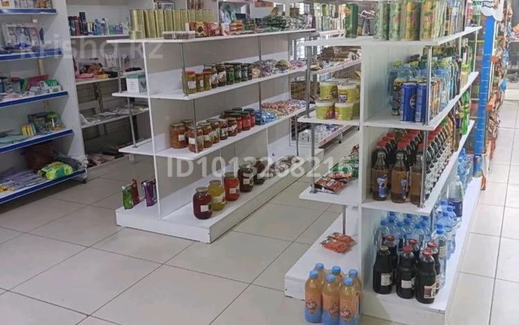 Еркін, дүкендер мен бутиктер · 100 м², бағасы: 350 000 ₸ в Астане, Сарыарка р-н — фото 2