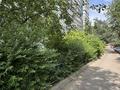 3-бөлмелі пәтер · 92.6 м² · 9/9 қабат, мкр Кулагер — Серикова, бағасы: 54 млн ₸ в Алматы, Жетысуский р-н — фото 21