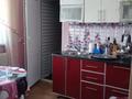 Отдельный дом • 3 комнаты • 61 м² • 15 сот., Береговая 132 за 14 млн 〒 в Павлодарском — фото 8