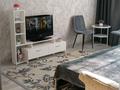 1-комнатная квартира · 42 м² · 2/5 этаж, Кенесары 23 — Кенесары за 15 000 ₸ в Бурабае — фото 12