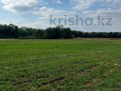 Участок · 114 га, Долан за 65 млн ₸