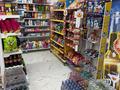 Готовый бизнес · 105 м² за 24 млн ₸ в Астане, Есильский р-н — фото 7