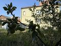 Отдельный дом · 4 комнаты · 300 м² · 11.5 сот., Луначарского 53 — Пахомова-луначарского за 120 млн ₸ в Павлодаре — фото 4