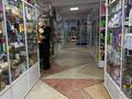 Магазины и бутики · 956 м² за 913 млн ₸ в Кокшетау — фото 17
