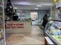 Магазины и бутики · 956 м² за 913 млн ₸ в Кокшетау — фото 18