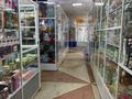 Магазины и бутики · 956 м² за 913 млн ₸ в Кокшетау — фото 19
