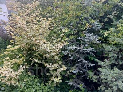 Участок · 18 соток, 3 линия 7 — 3-5 линий за 6 млн 〒 в Али