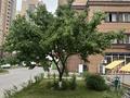 1-комнатная квартира · 55 м² · 19/20 этаж, Брусиловского 163 — Абая за 37 млн ₸ в Алматы, Алмалинский р-н — фото 22