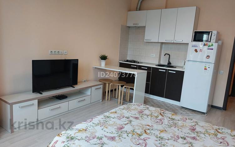 1-комнатная квартира, 24 м², 5/9 этаж помесячно, Чайковского 22а