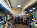 Магазины и бутики · 212.8 м² за 120 млн ₸ в  — фото 13