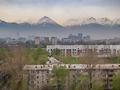 3-комнатная квартира · 110 м² · 10/13 этаж, Макатаева 131/4 — Муратбаева за 25 000 ₸ в Алматы, Алмалинский р-н — фото 21