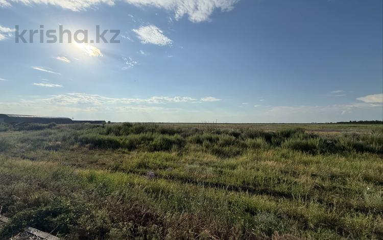 Жер телімі · 9 га, Астана, бағасы: 200 млн ₸ — фото 2