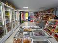 Готовый продуктовый магазин с домом — действующий бизнес · 220 м² за 65 млн ₸ в  — фото 9