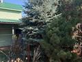 Дача · 3 комнаты · 30 м² · 12 сот., С. Райымбек 12 линия за 24 млн 〒 в Алматы