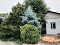Отдельный дом · 4 комнаты · 90 м² · 10 сот., мкр Айнабулак-3 170 — ПАЛЛАДИНА - ЖУМАБАЕВА за 55 млн ₸ в Алматы, Жетысуский р-н — фото 29