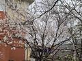 Отдельный дом · 4 комнаты · 360 м² · 8 сот., мкр Жулдыз, 33 4 за 55 млн ₸ в Атырау — фото 8