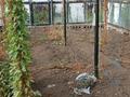 Отдельный дом · 3 комнаты · 60 м² · 7 сот., Мухтара Ауезова 54 за 11.5 млн ₸ в Кокшетау — фото 5