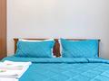 2-комнатная квартира · 45 м² · 3/12 этаж, Улы Дала 31, 31/1, 33, 33/1 за 300 000 ₸ в Астане — фото 2