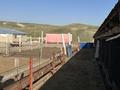 Фазенда 329 га, полностью оборудована · 329 м² за 90 млн ₸ в Талдыкоргане, Каратал — фото 10